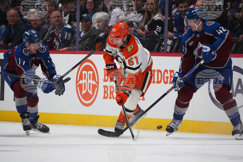 Ducks Avalanche Hockey