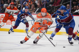 Ducks Avalanche Hockey