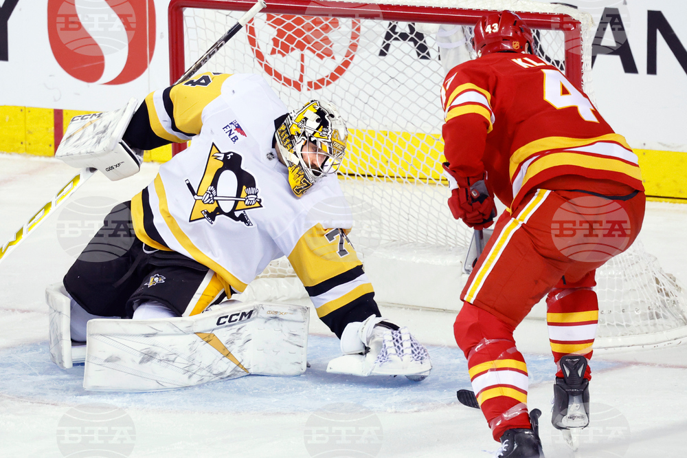 Penguins Flames Hockey