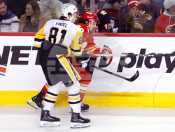 Penguins Flames Hockey