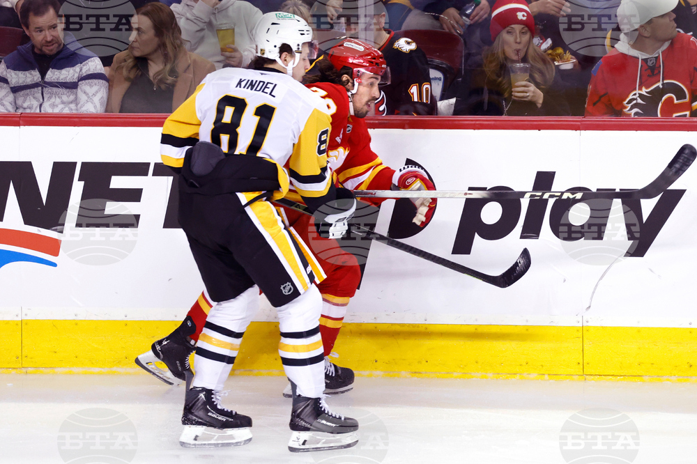 Penguins Flames Hockey