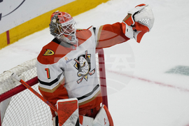 Ducks Avalanche Hockey