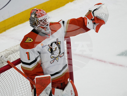 Ducks Avalanche Hockey