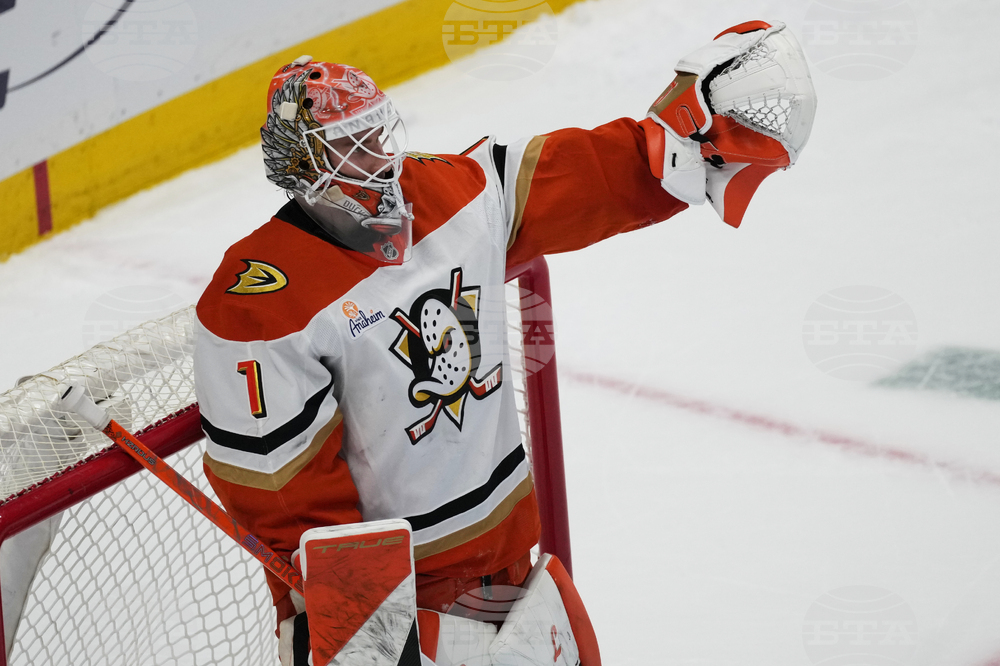 Ducks Avalanche Hockey