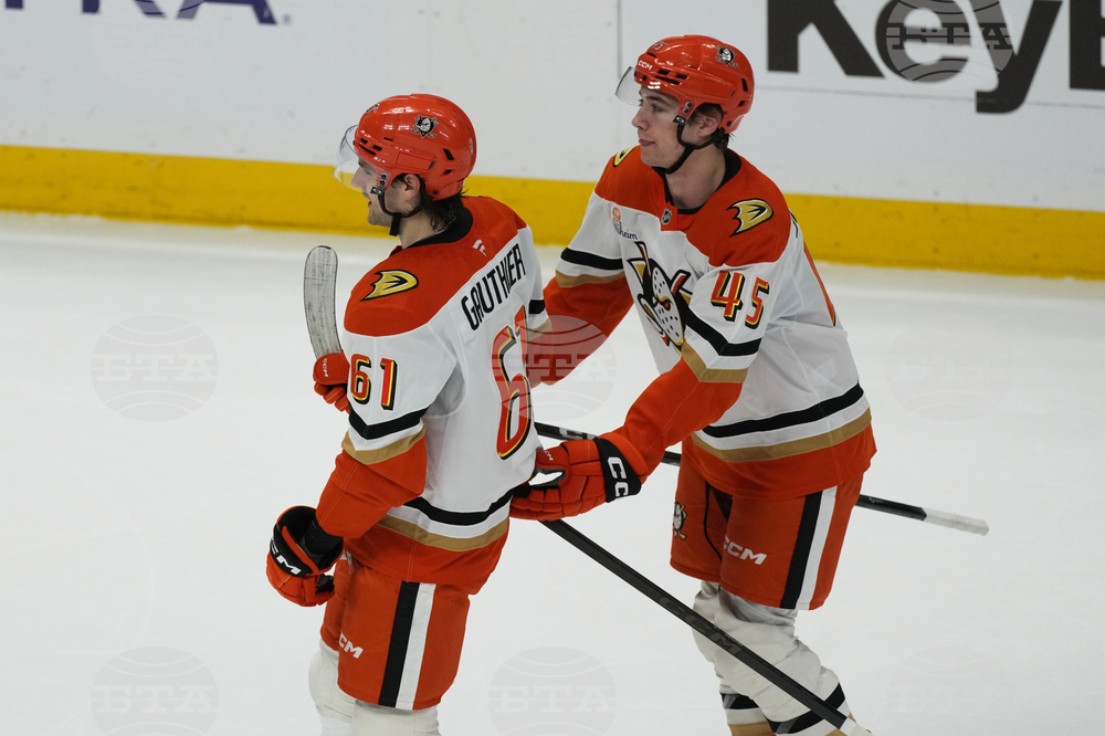 Ducks Avalanche Hockey