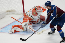 Ducks Avalanche Hockey