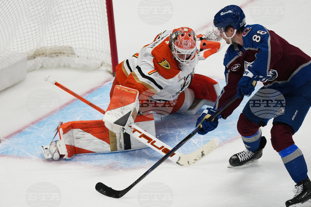 Ducks Avalanche Hockey