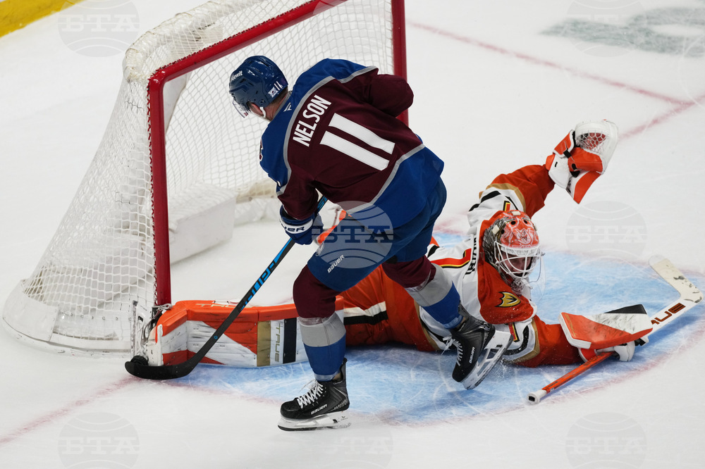 Ducks Avalanche Hockey