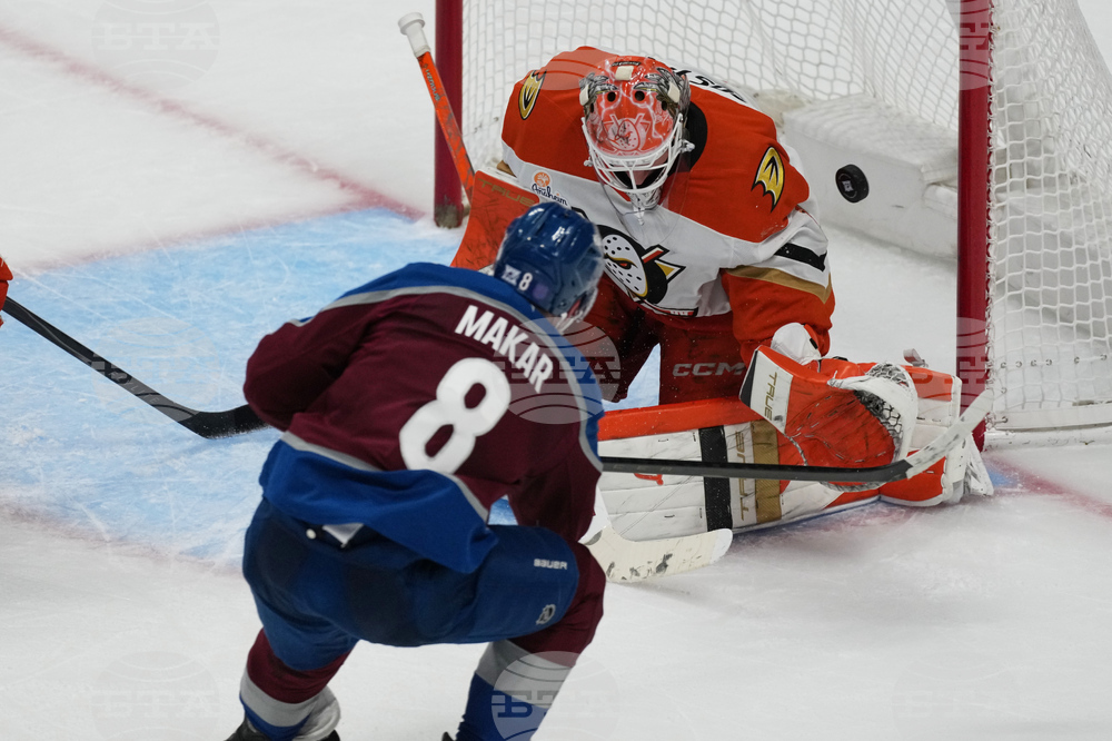 Ducks Avalanche Hockey