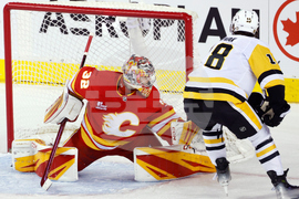 Penguins Flames Hockey