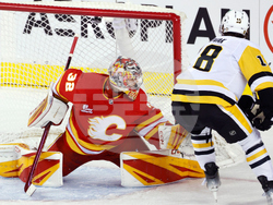 Penguins Flames Hockey