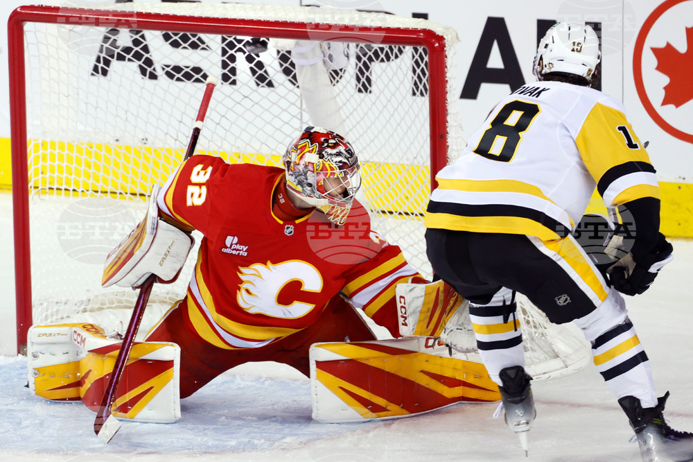 Penguins Flames Hockey