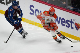 Ducks Avalanche Hockey