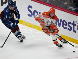 Ducks Avalanche Hockey