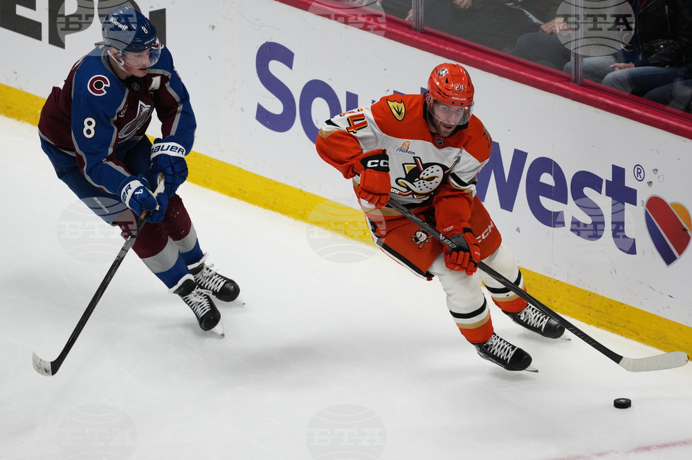 Ducks Avalanche Hockey