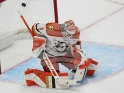 Ducks Avalanche Hockey