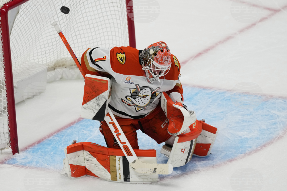 Ducks Avalanche Hockey