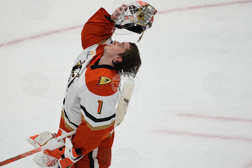 Ducks Avalanche Hockey