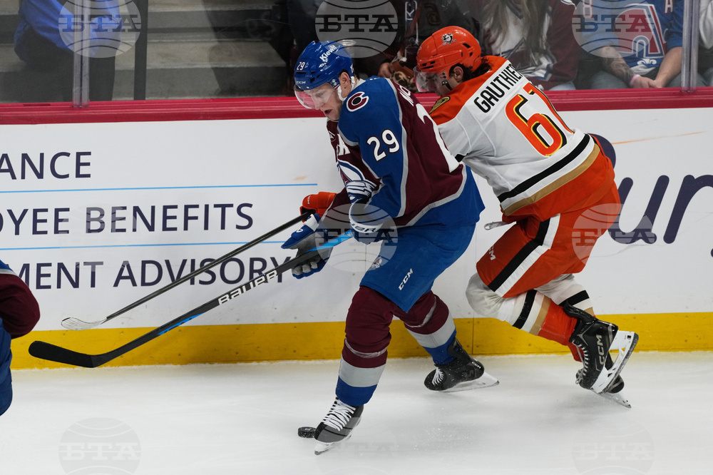 Ducks Avalanche Hockey