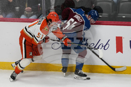 Ducks Avalanche Hockey