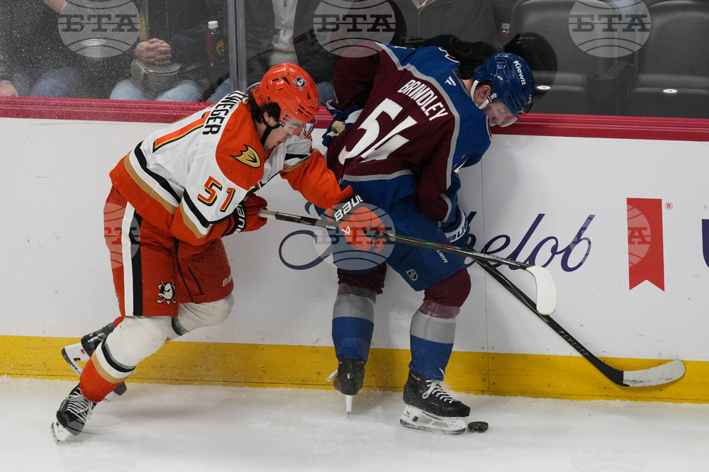 Ducks Avalanche Hockey