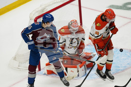 Ducks Avalanche Hockey