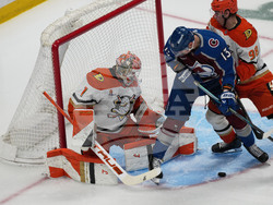 Ducks Avalanche Hockey