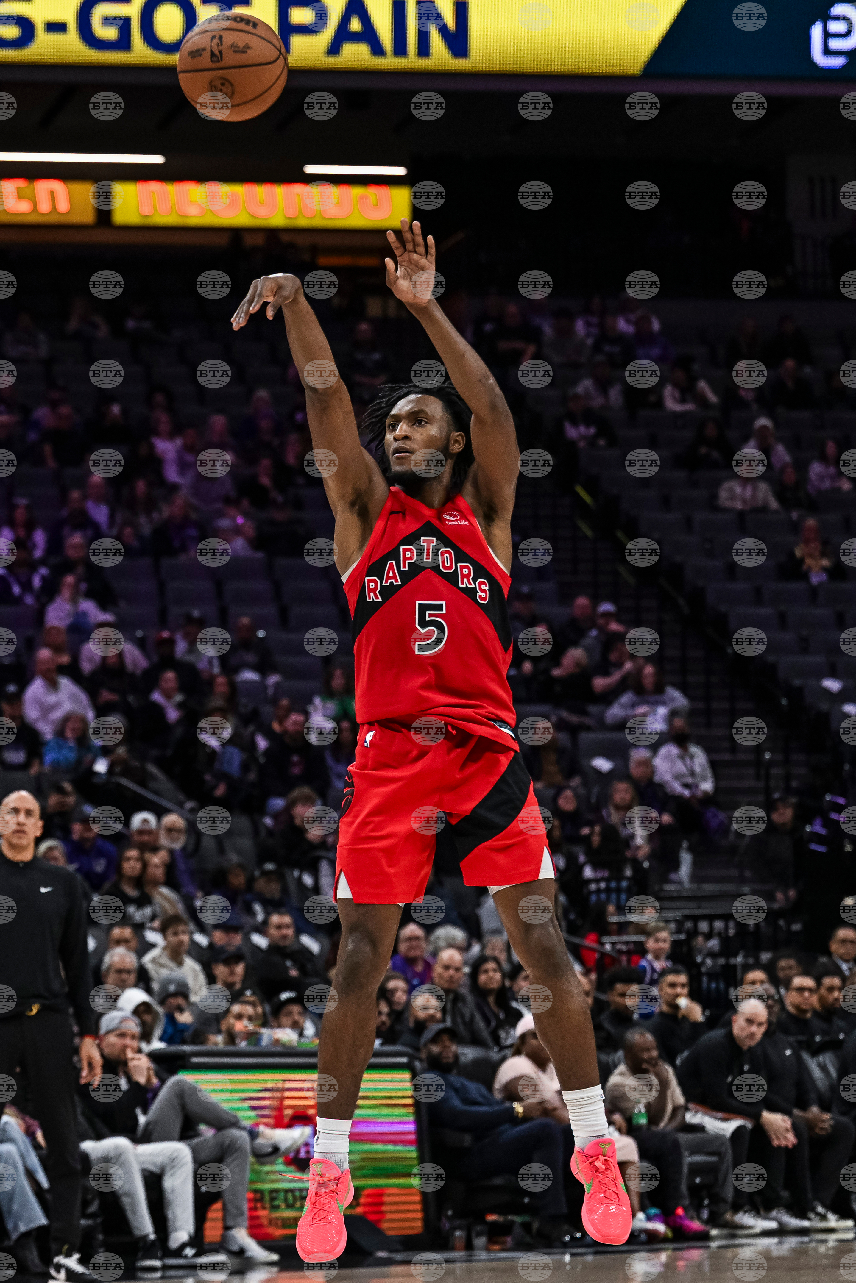 Raptors Kings Basketball