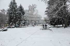 Кърджали - зимна обстановка