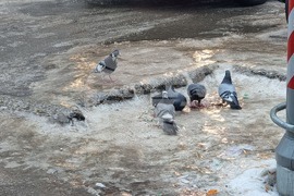 Русе - поледица - метеорологична обстановка