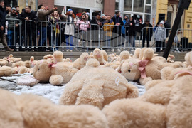 Висш съдебен съвет - протест