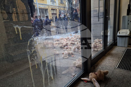 Висш съдебен съвет - протест