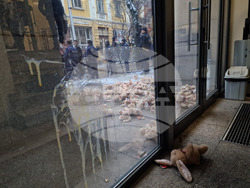 Висш съдебен съвет - протест