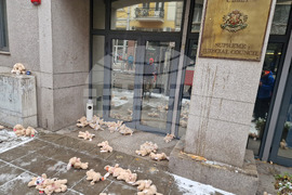 Висш съдебен съвет - протест