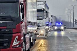 ГКПП „Капитан Андреево" - опашка - камиони