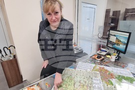 Плевен - туристическа карта - представяне