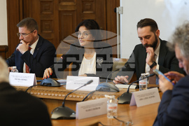 Народно събрание - Комисия за прякото участие на гражданите, жалбите и взаимодействието с гражданското общество - заседание