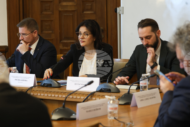 Промени в Закона за юридическите лица с нестопанска цел бяха приети на първо четене в комисия