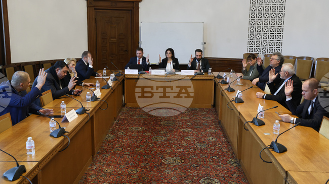 Parliamentary Committee Backs at First Reading Bill to Change Referendum Rules