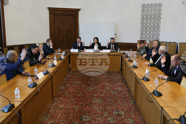 Parliamentary Committee Backs at First Reading Bill to Change Referendum Rules