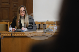 Народно събрание - Комисия за прякото участие на гражданите, жалбите и взаимодействието с гражданското общество - заседание