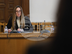 Народно събрание - Комисия за прякото участие на гражданите, жалбите и взаимодействието с гражданското общество - заседание