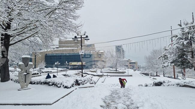 Свободни места за учител по физика, логопед, началник на отдел са обявени в Бюрото по труда в Смолян
