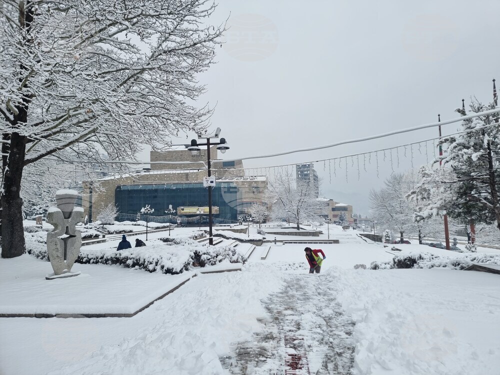 Свободни места за учител по физика, логопед, началник на отдел са обявени в Бюрото по труда в Смолян