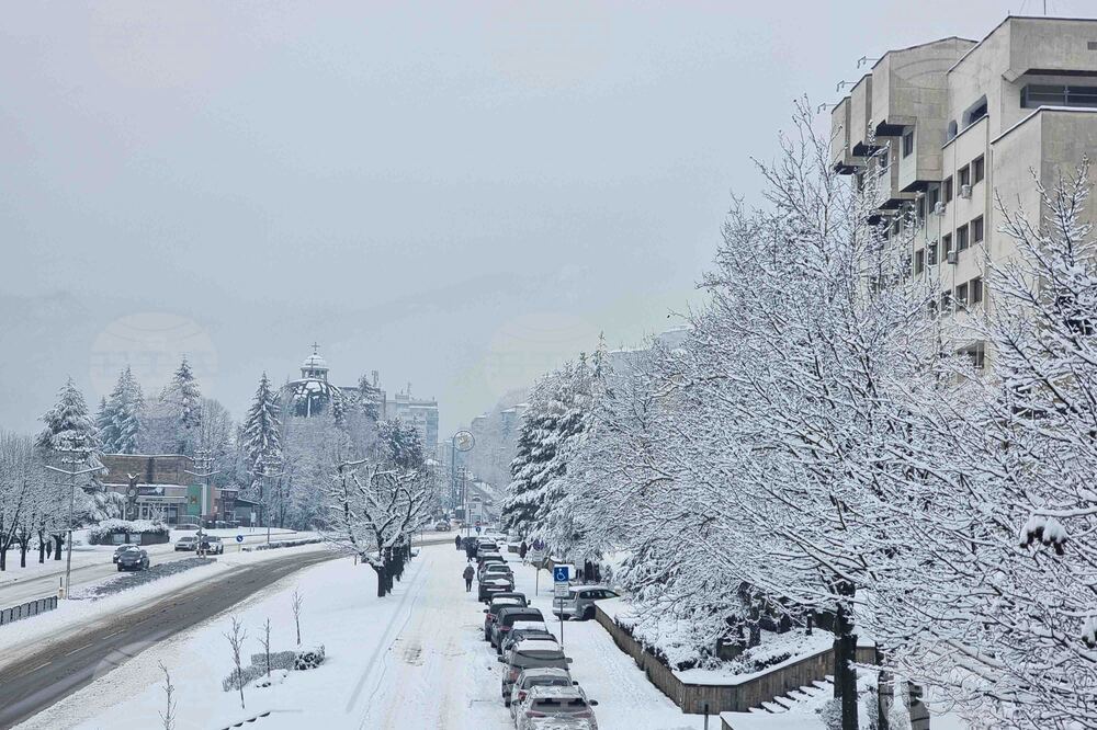 Смолян - сняг