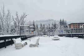 Смолян - сняг