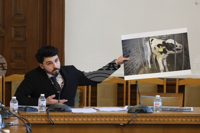 Народно събрание - Комисия за прякото участие на гражданите, жалбите и взаимодействието с гражданското общество - заседание