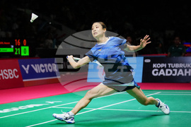 Indonesia Masters Badminton