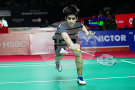 Indonesia Masters Badminton