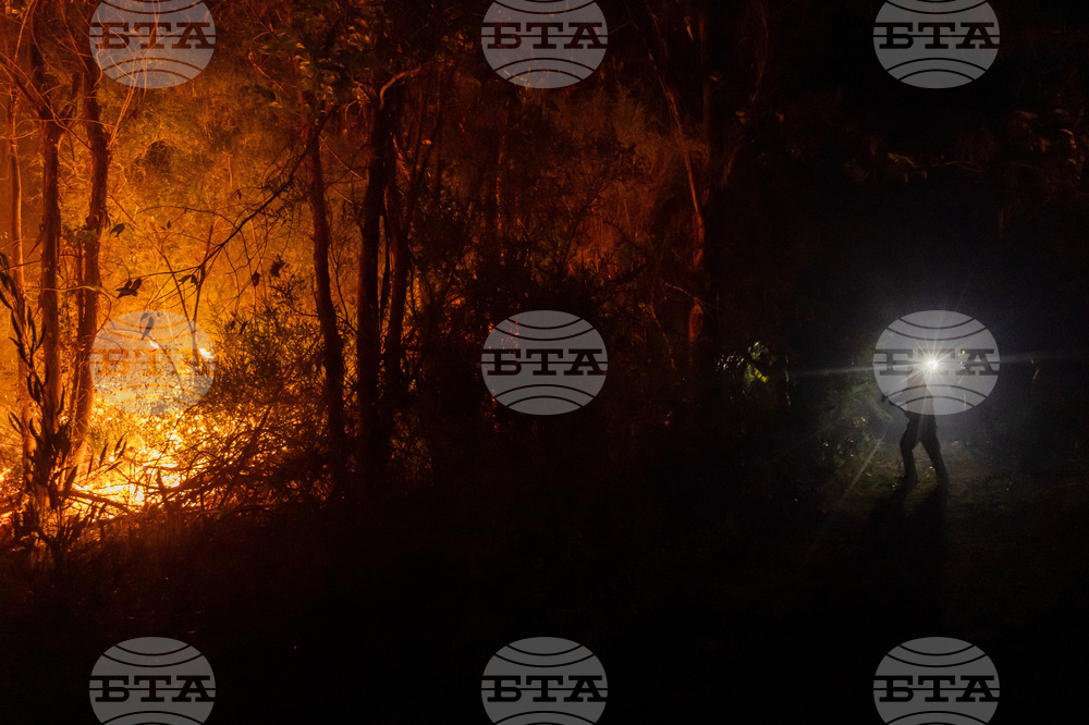 Climate Chile Wildfires Explainer